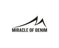 miracle of demin_1